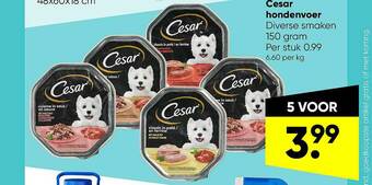 Big Bazar Cesar Hondenvoer aanbieding