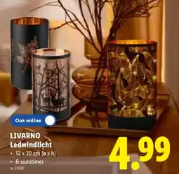 Lidl Livarno ledwindlicht aanbieding
