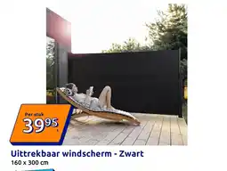 Action Uittrekbaar windscherm aanbieding