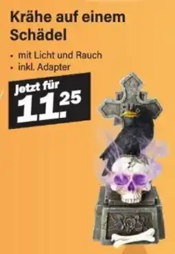 Van Cranenbroek Krähe auf einem Schädel aanbieding