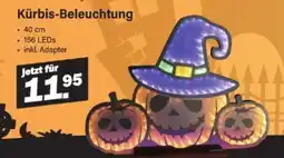 Van Cranenbroek Kürbis-Beleuchtung aanbieding