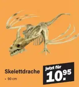 Van Cranenbroek Skelett drache aanbieding