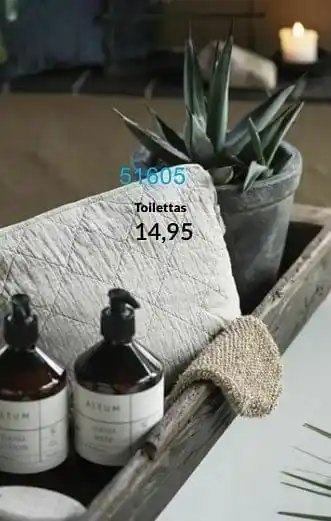 Toilettas