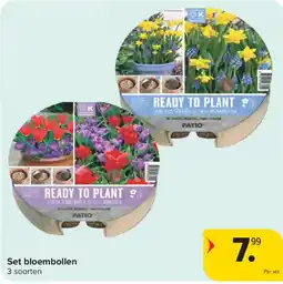 Carrefour Set bloembollen aanbieding