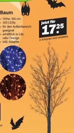 Van Cranenbroek Baum aanbieding