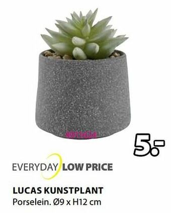 Jysk Lucas kunstplant aanbieding