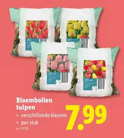 Lidl Bloembollen tulpen aanbieding
