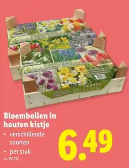 Lidl Bloembollen in houten kistje aanbieding