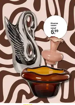 Xenos Diverse vazen aanbieding