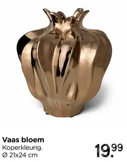 Xenos Vaas bloem aanbieding