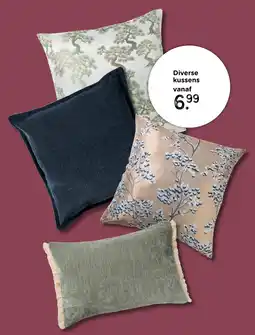 Xenos Diverse kussens aanbieding