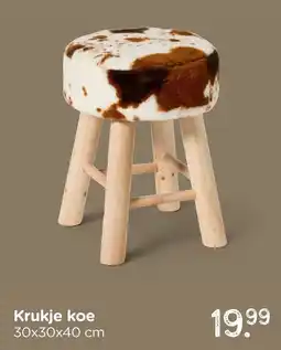 Xenos Krukje koe aanbieding