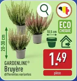ALDI Gardenline Bruyère aanbieding