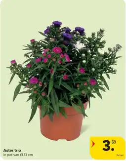 Carrefour Market Aster trio aanbieding