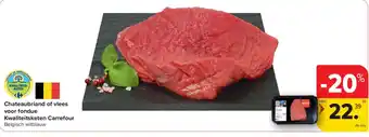 Chateaubriand of vlees voor fondue