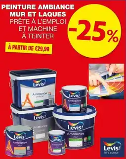 Hubo Peinture ambiance mur et laques aanbieding