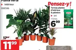 Mr Bricolage Plante verte aanbieding