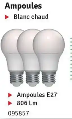 Mr Bricolage Ampoules E27 aanbieding