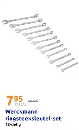 Action Werckmann ringsteeksleutel-set aanbieding