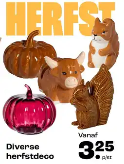 Kwantum Diverse herfstdeco aanbieding