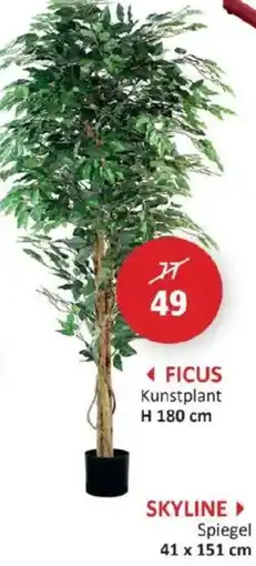 Weba Ficus kunstplant aanbieding