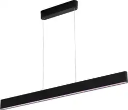 Coolblue Philips Hue Ensis hanglamp White & Color Zwart aanbieding
