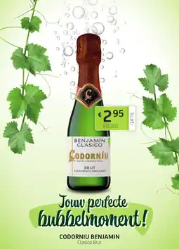 BelBev Codorniu Benjamin aanbieding