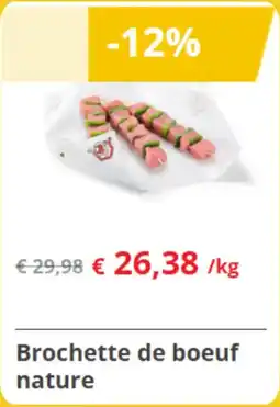 Renmans Brochette de boeuf nature aanbieding