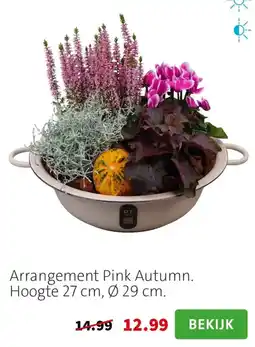 Intratuin Arrangement Pink Autumn aanbieding