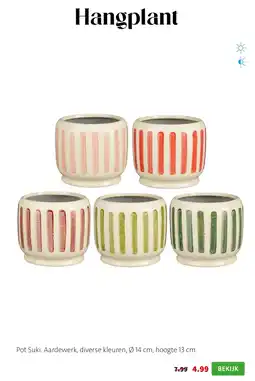Intratuin Hangplant aanbieding