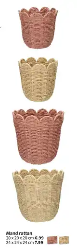 Wibra Mand rattan aanbieding