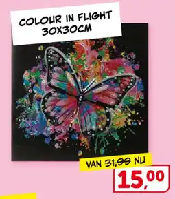 Boekenvoordeel Colour in flight aanbieding