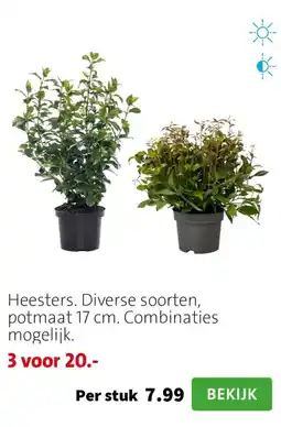 Intratuin Heesters aanbieding