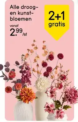 Leen Bakker Alle droog en kunstbloemen aanbieding