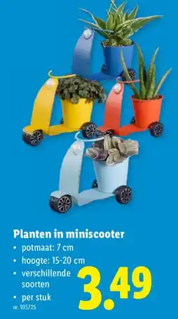 Lidl Planten in miniscooter aanbieding