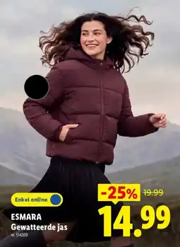 Lidl Esmara gewatteerde jas aanbieding