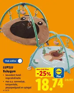 Lidl Lupilu Babygym aanbieding