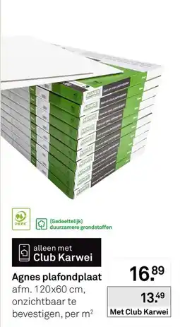 Karwei Agnes plafondplaat aanbieding