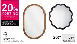 Karwei Spiegel ovaal aanbieding