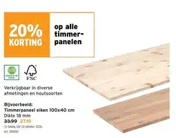 GAMMA Timmerpanelen aanbieding