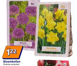 Action Bloembollen aanbieding