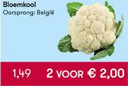 Peltri Bloemkool aanbieding