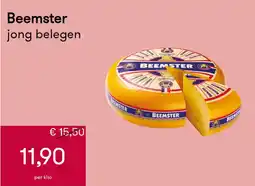 Peltri Beemster jong belegen aanbieding