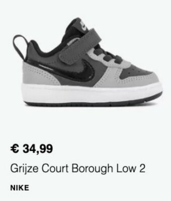 Nike Grijze Court Borough Low 2