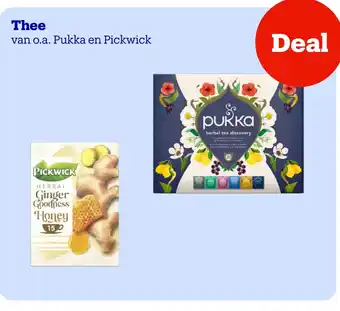 Pukka en Pickwick Thee