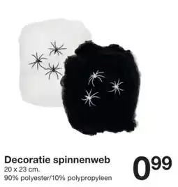 Zeeman Decoratie spinnenweb aanbieding