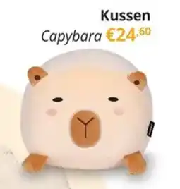 YGO Kussen Capybara aanbieding