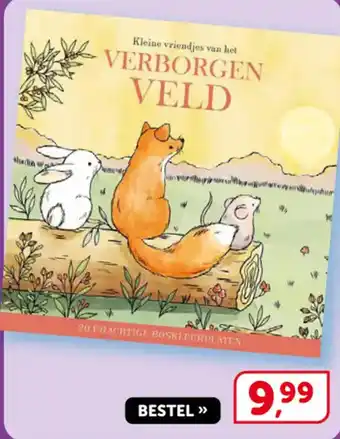 Kleine vriendjes van het verborgen veld