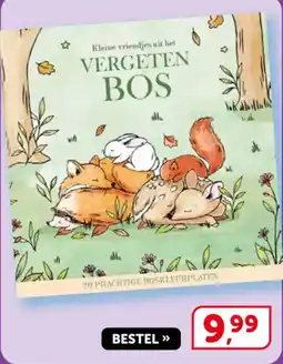 Boekenvoordeel Kleine vriendjes uit het Vergeten Bos aanbieding