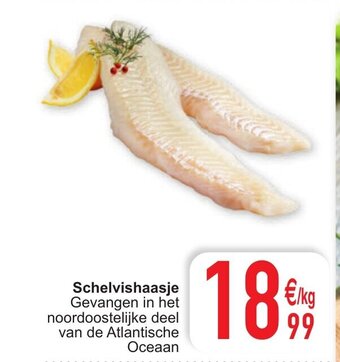 Schelvishaasje
